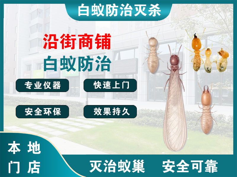 淳安沿街商铺白蚁防治