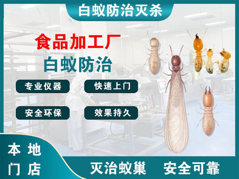 淳安食品加工厂白蚁防治