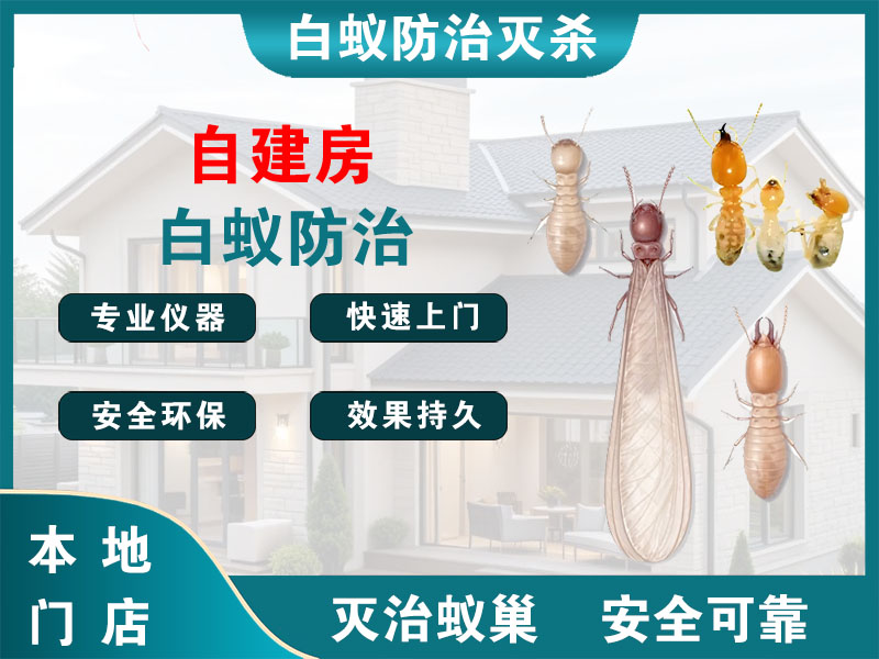 淳安自建房白蚁防治