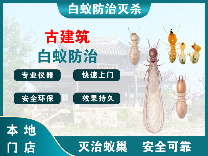 淳安古建筑白蚁防治