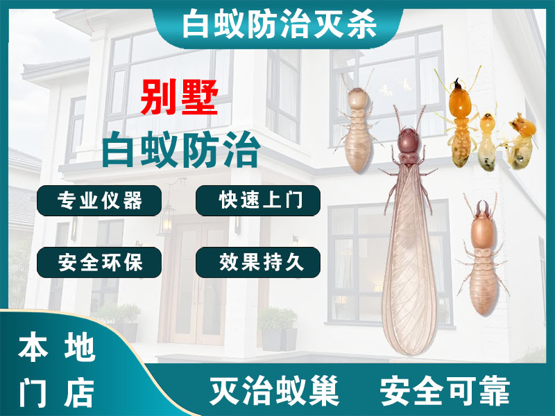 淳安别墅白蚁防治